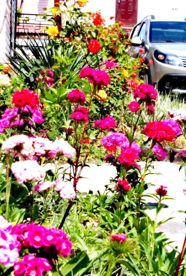 At the seaside Hotel Pițunda Exterior foto